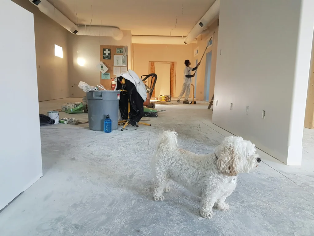 Home remodelling tips 2024