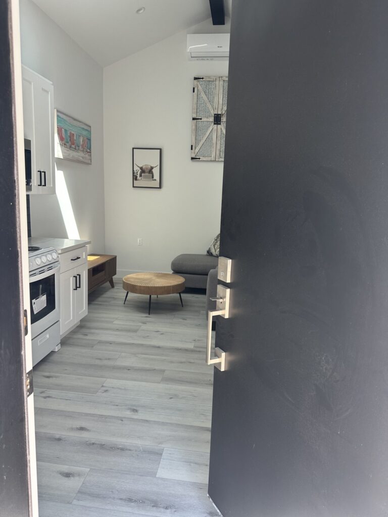 The dark accent wall that separates the entry from the kitchenette