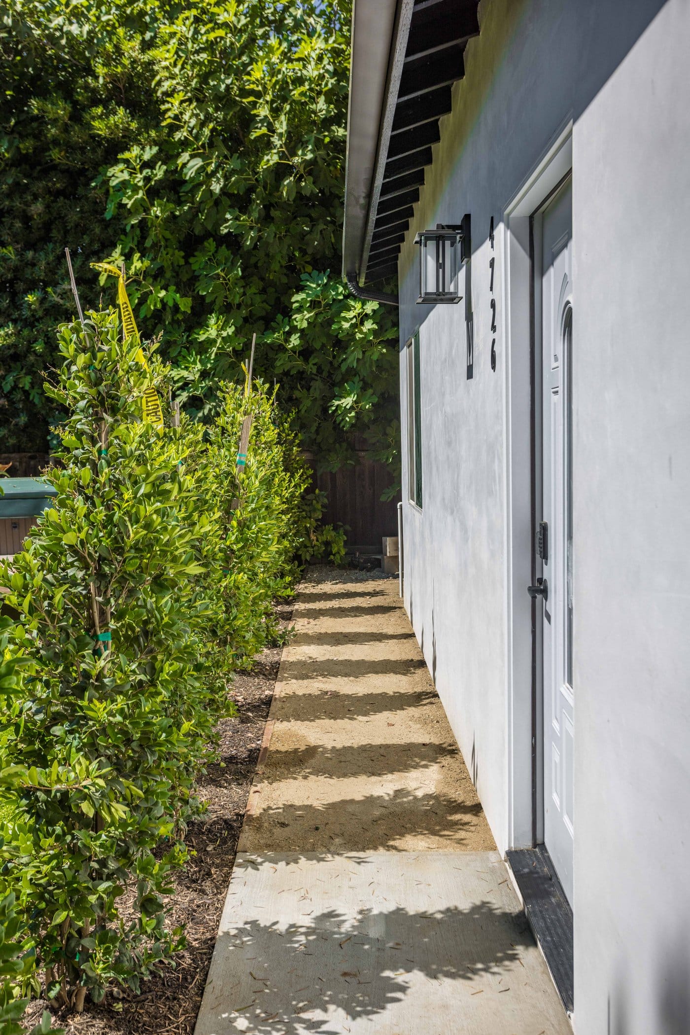 Concrete walkway running alongside the unit between the stucco wall and a clipped hedge