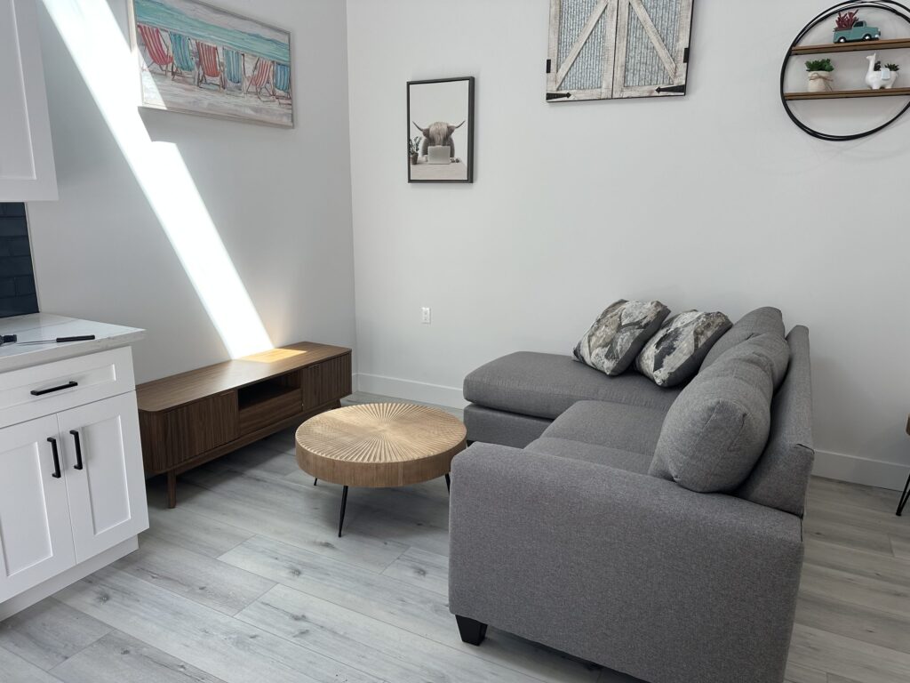 Second accessory dwelling unit showing the kitchen cabinetry, media console and seating under a vaulted ceiling
