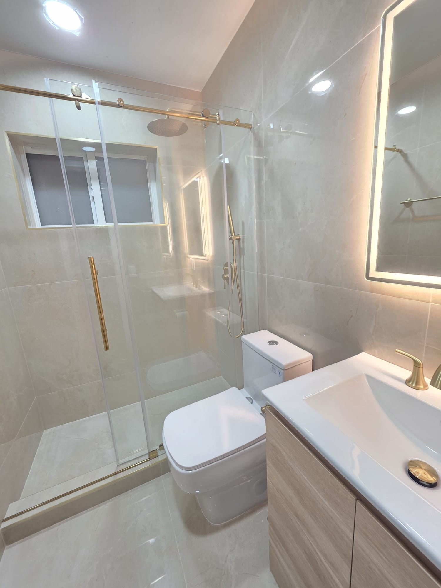 Custom Glass Walk-In Shower Guest Bathroom Remodel