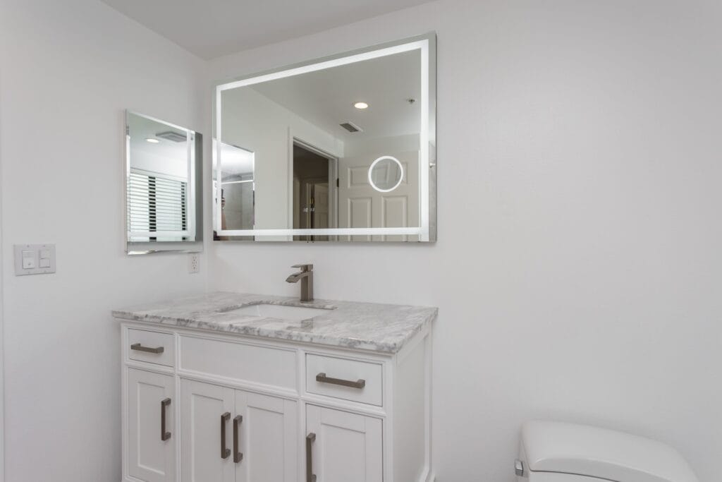 Whole-Home Bathroom Renovation with Spa Showers & a Freestanding Soaking Tub — photo 10