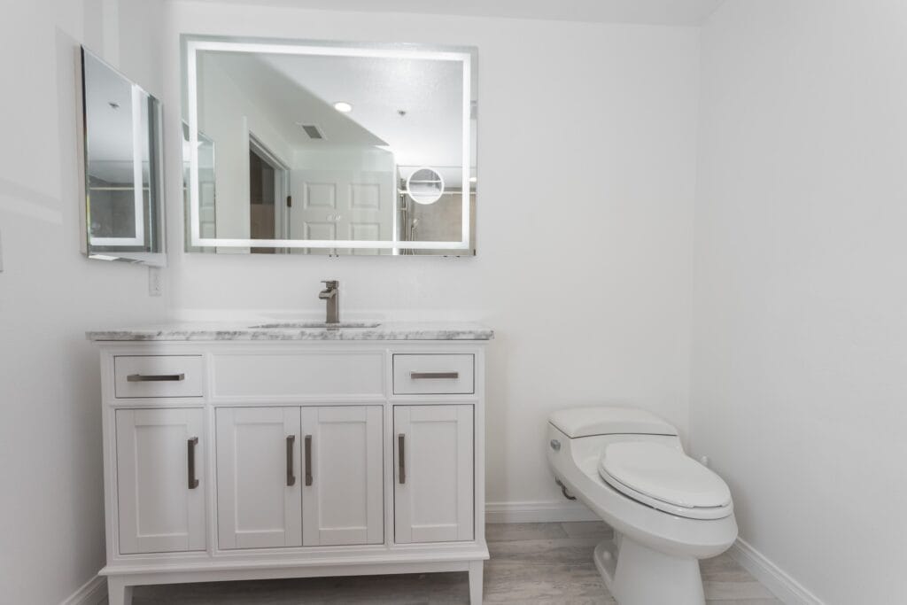 Whole-Home Bathroom Renovation with Spa Showers & a Freestanding Soaking Tub — photo 11