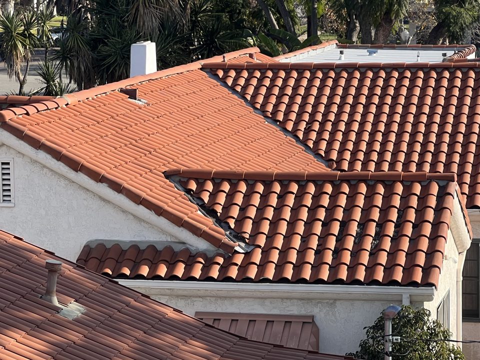 Terracotta barrel tile roof with palms beyond